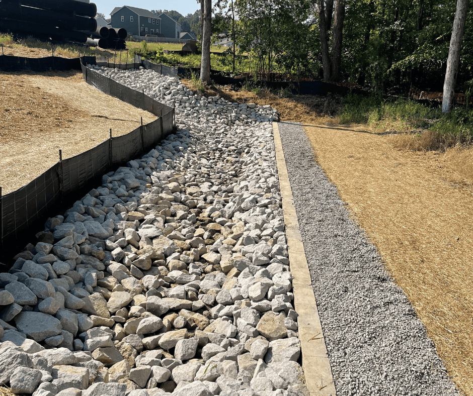 Team planting and stabilizing a graded North Carolina site