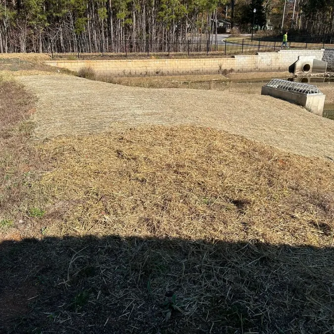 Stabilized pond area after a stormwater control system repair