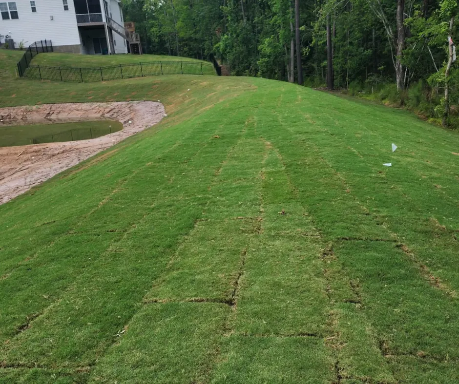 Sod installation on a graded slope