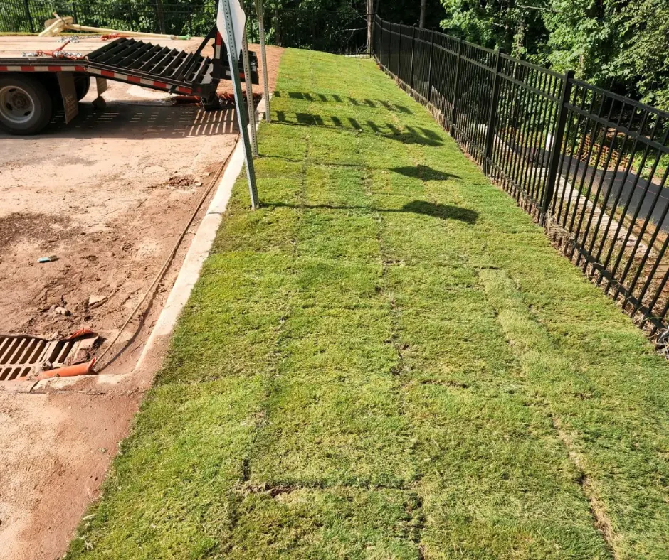 Stabilized slope after seeding
