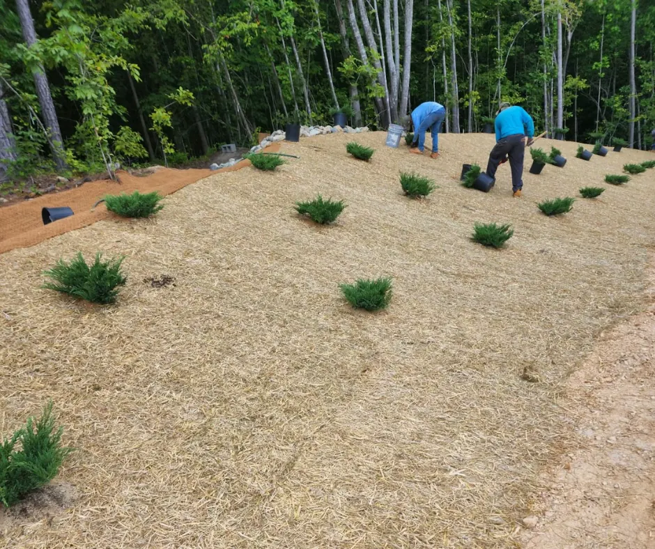 Site stabilization with erosion control matting and wattles on a cleared North Carolina lot